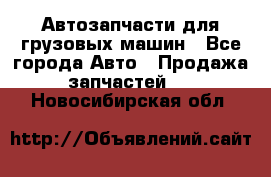 Автозапчасти для грузовых машин - Все города Авто » Продажа запчастей   . Новосибирская обл.